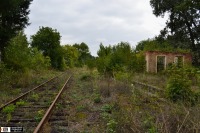 Железная дорога (поезда, паровозы, локомотивы, вагоны) - Путь разворотного треугольника  ст.Ларга Львовской ж.д.
