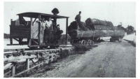Железная дорога (поезда, паровозы, локомотивы, вагоны) - Узкоколейный редукторный паровоз типа 0-2-0 на лесозаготовках