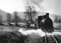 Железная дорога (поезда, паровозы, локомотивы, вагоны) - Вывоз леса по узкоколейной ж.д.