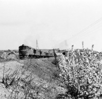 Железная дорога (поезда, паровозы, локомотивы, вагоны) - Тепловоз ТЭ3 с поездом