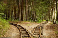 Железная дорога (поезда, паровозы, локомотивы, вагоны) - Распутье...