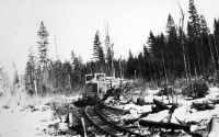 Железная дорога (поезда, паровозы, локомотивы, вагоны) - Тепловоз ТУ4 на вывозке леса по узкоколейной ж.д.