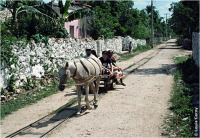 Железная дорога (поезда, паровозы, локомотивы, вагоны) - Албанская конка