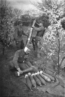 Войны (боевые действия) - Расчет советского 120-мм миномёта. Освобождение Австрии.
