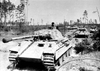 Войны (боевые действия) - Немецкие танки PzKpfw V «Пантера» в районе Орла.