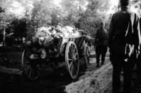 Войны (боевые действия) - Тела умерших от голода и лишений советских военнопленных в лагерях временного содержания