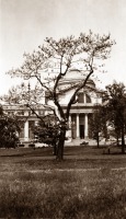 Вашингтон - Tree in front of the United States National Museum (now the National Museum of Natural History) США , Вашингтон (округ Колумбия)