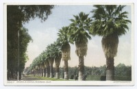 Штат Калифорния - Риверсайд. Магнолия Авеню, 1900-1906