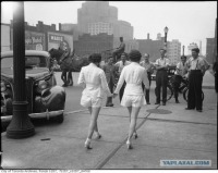 Торонто - Женщины в шортах.