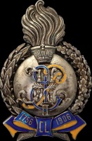 Медали, ордена, значки - Знак 6-го гренадерского Таврического полка.