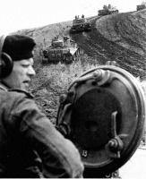 Военная техника - «Тигры» из состава 503-го батальона тяжелых танков на Курской дуге