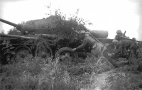 Военная техника - Расчёт советской 76-мм пушки ЗиС-3 меняет позицию на Сахалине у танка Т-34-85. Август 1945