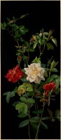 Картины - Розы и бутоны