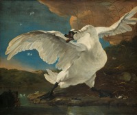 Картины - Рейксмузеум в Амстердаме. Лебедь в опасности, 1650