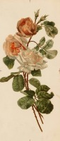 Картины - Букет розовых и белых роз