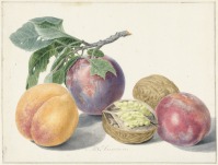 Картины - Натюрморт с фруктами