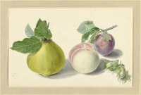 Картины - Михил Ван Хайсум. Груша, персики, сливы и орехи