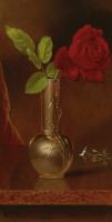 Картины - Мартин Джонс Хид. Красная роза в вазе