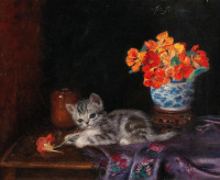 Картины - Мета Плюккебаум, Игривый котёнок и настурция