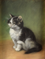 Картины - Йозеф Хаймерль, Котёнок