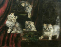 Картины - Августа Талбойс, Котята с павлиньим пером