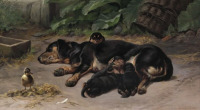Картины - Симон Симонсен, Такса со своими щенками