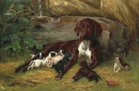 Картины - Симон Симонсен. Хонзехунд со своими щенками