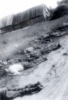 Московская область - Мирные советские жители, убитые фашистами