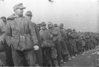Калининград - Немецкие солдаты, взятые в плен во время штурма Кенигсберга.