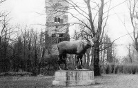 Калининград - Калининград. Гумбинненский лось в зоопарке на фоне старой довоенной смотровой вышки.