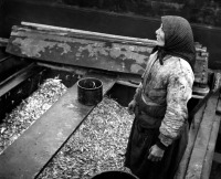 Советск - Тильзит. Женщина, торгующая рыбой на рынке.