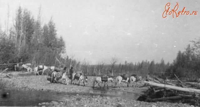 Магаданская область - Колыма. Вьючный караван. 1933-1937
