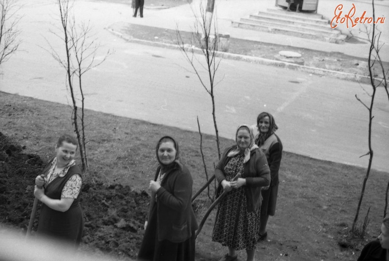 Мурманск - Мурманск. 1960 г. На озеленении ул. Володарского.