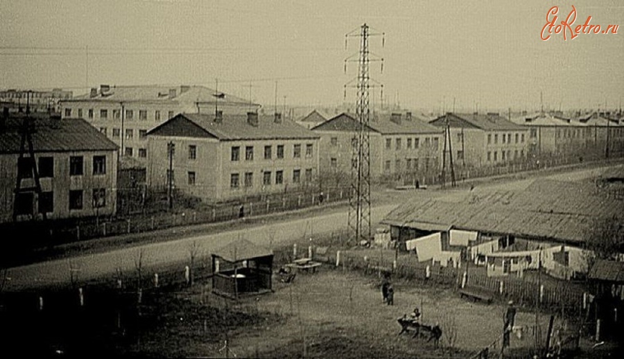 Завод солярис электросталь