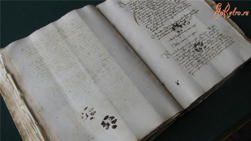 Разное - Следы кошачьих лап на итальянской рукописи,оставленные в 1445г.
