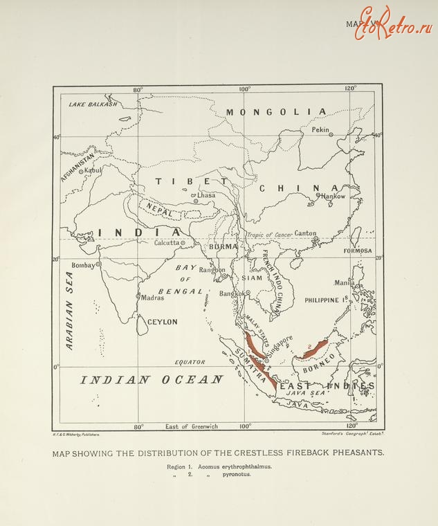 Разное - Карта распределения фазанов группы огнеспинок хохлатых
