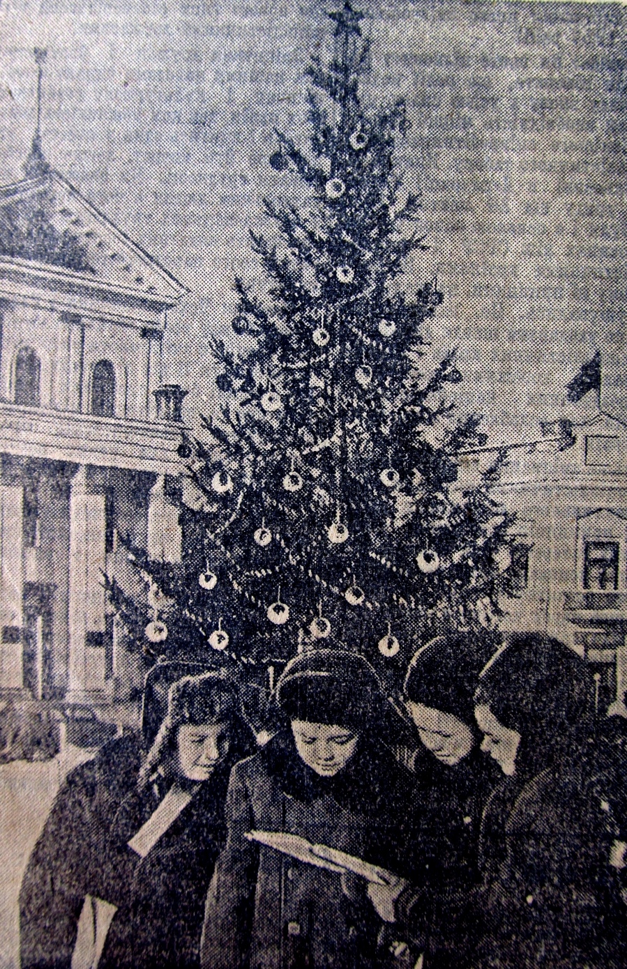 Житомир - Новогодняя ёлка на площади Советов.
