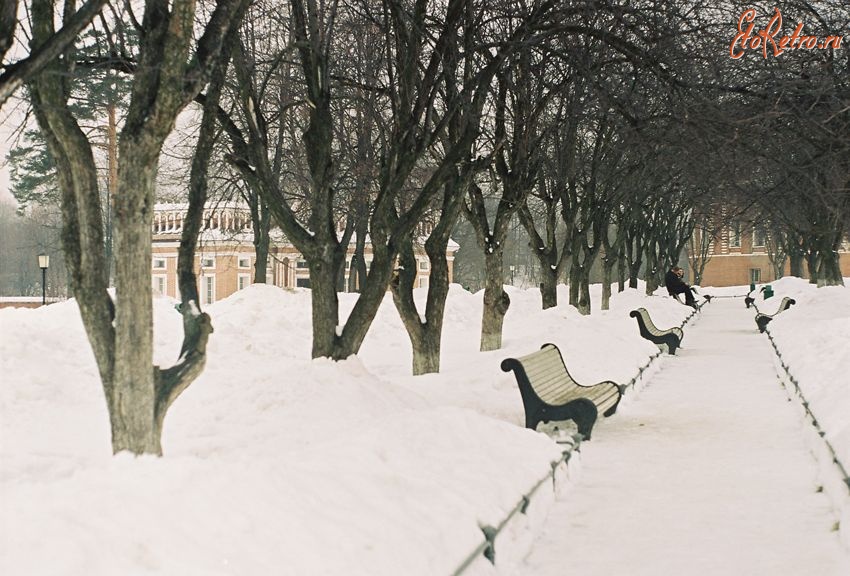 Москва - Царицыно. Зима. Аллея недалеко от Большого дворца