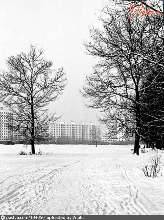 Москва - Зимняя пустошь перед 16 Парковой улицей