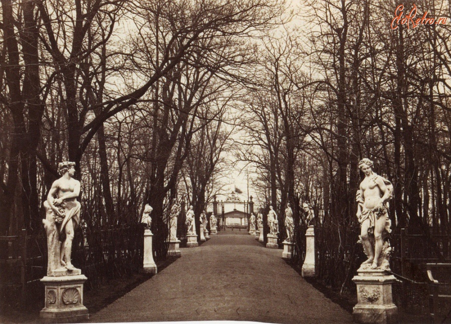 Санкт-Петербург - Большая аллея в Летнем саду.