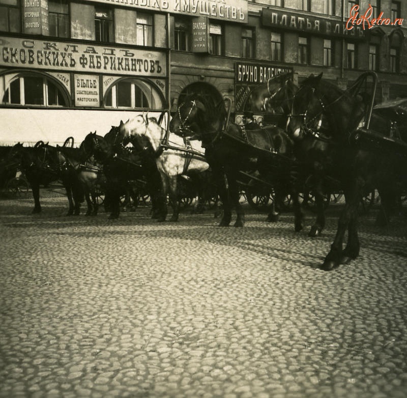 Санкт-Петербург - Лошадь старая