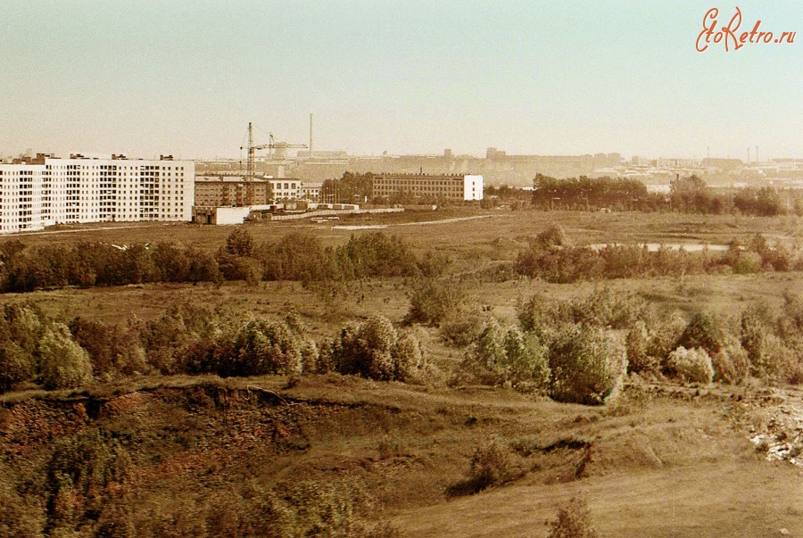 1319538209c1b.jpg