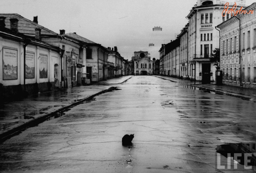 Ярославль - Ярославский кот на проезжей части в 1958 году.