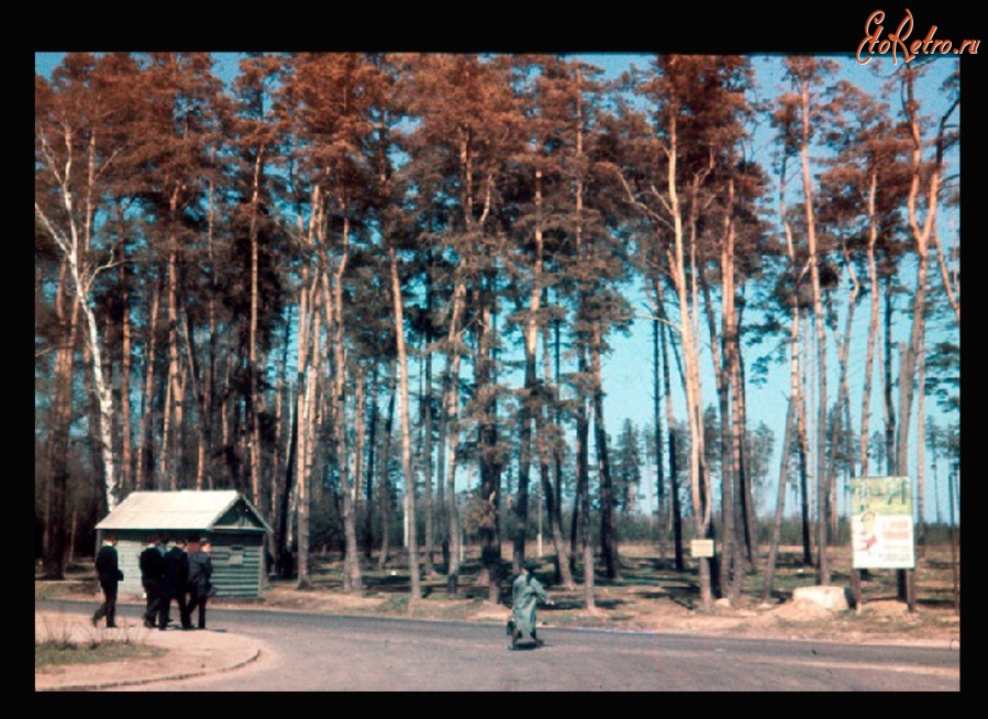 Воскресенск - Улица Менделеева в городе Воскресенск. Фото сделано в конце 60 - х начало 70 - х годов.