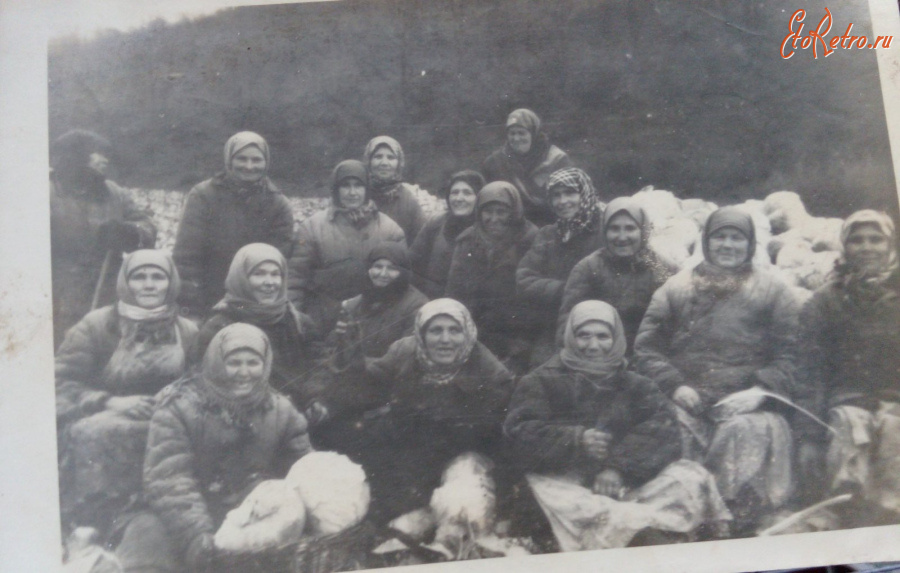 Луганская область - Веселая Гора.1950-е г.г. Огородническая бригада.