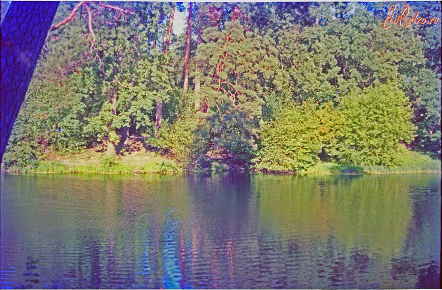 Пуща водица киев