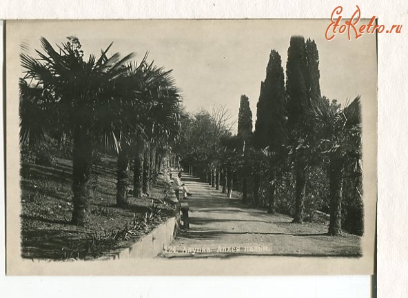 Алупка - Алупка. Аллея пальм, 1920-1939