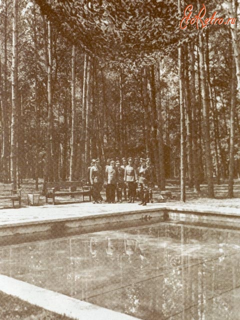 Стрижавка - Гитлер в сопровождении командования возле бассейна