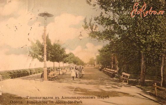 Одесса - Одесса.  Главная  аллея в Александровском парке.