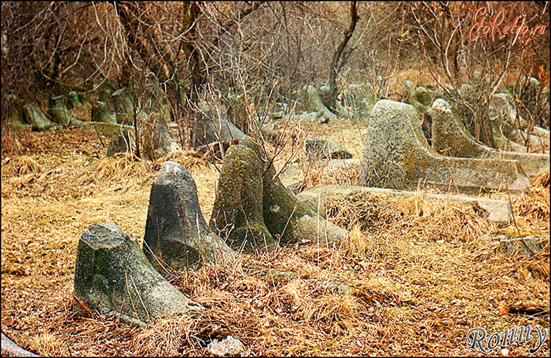 Бердичев - Захоронения на еврейском кладбище